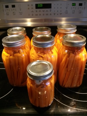Résultat de 15 livres de carottes marinées en pots mason.
